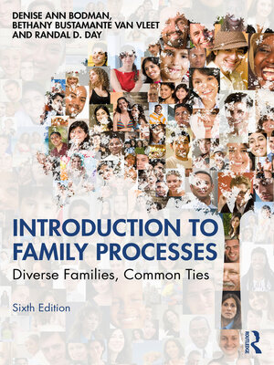 cover image of Introduction to Family Processes